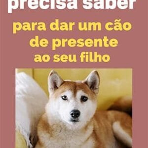 O que você precisa saber para dar um cão de presente ao seu filho