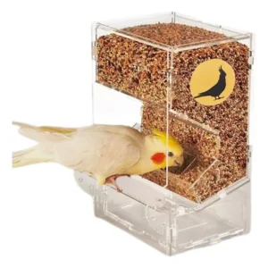 Comedouro De Sementes Em Acrílico Para Aves Calopsita